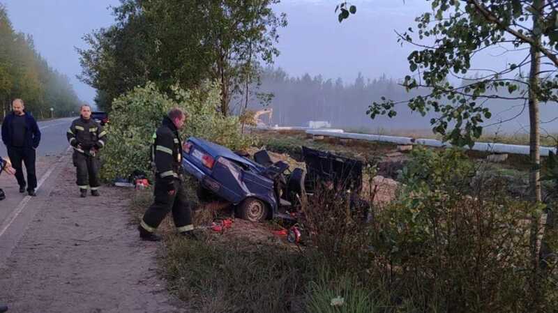 В Ленинградской области водитель автомобиля ВАЗ погиб, улетев в кювет, пассажиры пострадали